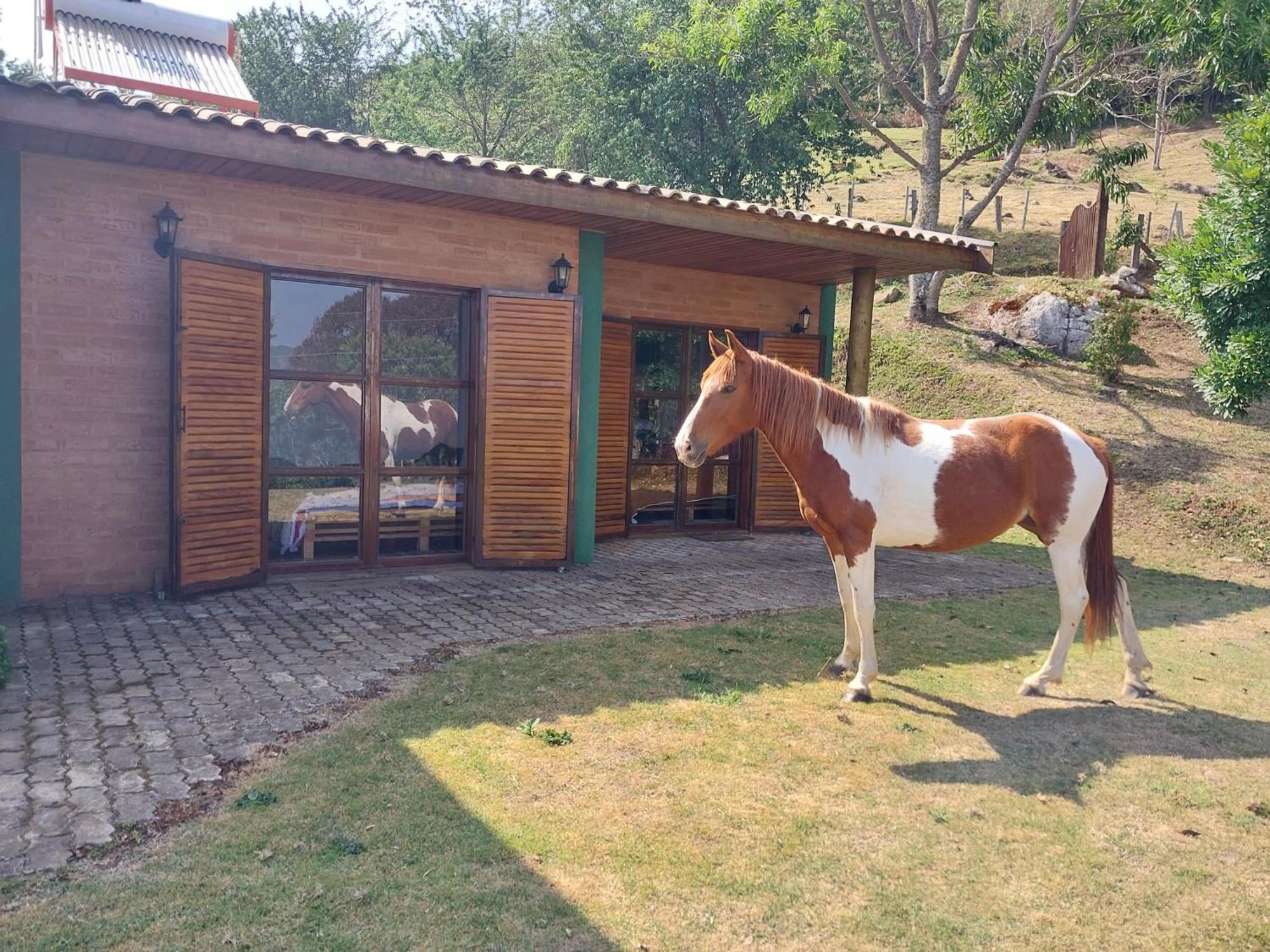 Holiday home Casa Na Montanha Goncalves